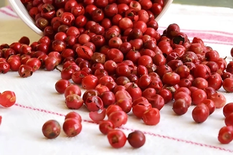 Giá tiêu hôm nay 5/7/2025: giảm liền 2 ngày, thủng mốc 140.000 đồng/kg