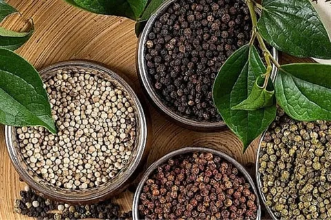 Giá tiêu hôm nay 6/12/2025: xuất khẩu hồ tiêu sang Mỹ tiếp tục tăng