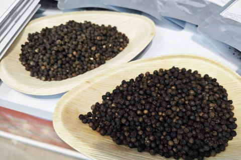 Giá tiêu hôm nay 8/7/2025: tăng trở lại, đồng loạt vượt mốc 140.000 đồng/kg