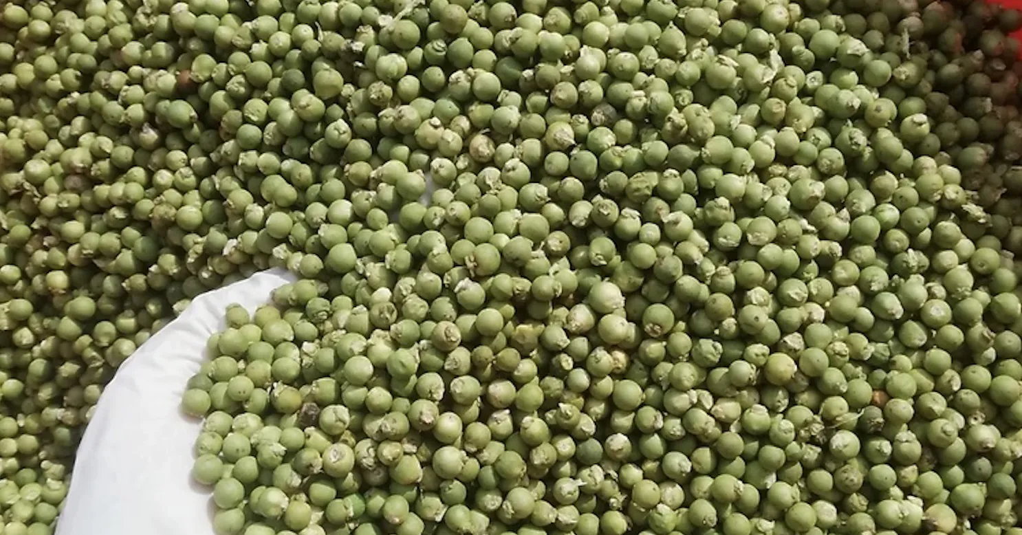 Hình ảnh 1
