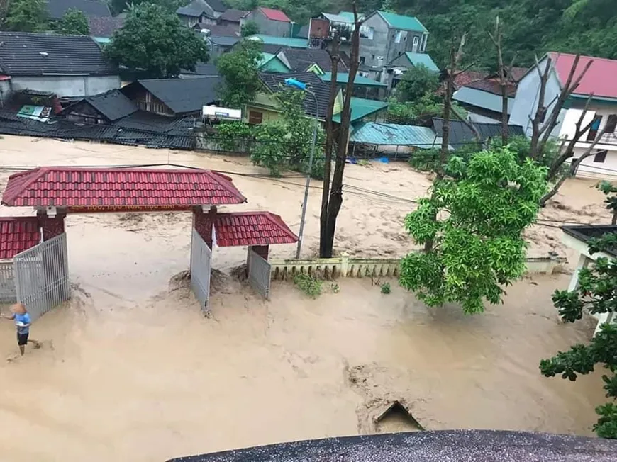 Hình ảnh 1