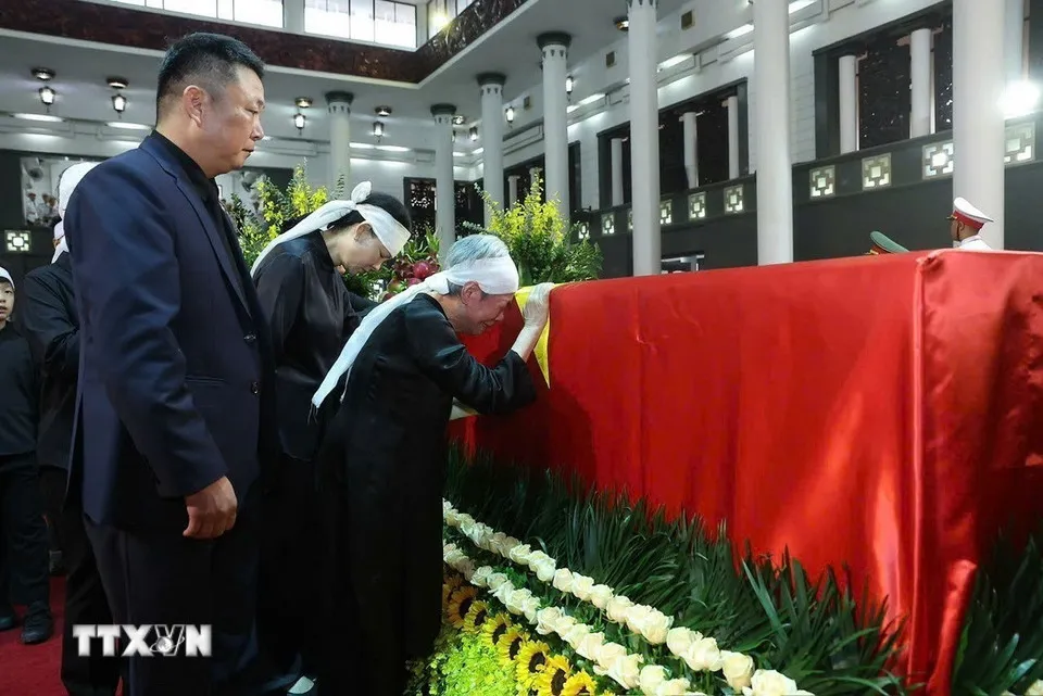 Hình ảnh 14