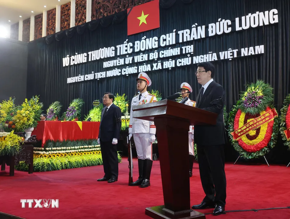 Hình ảnh 2