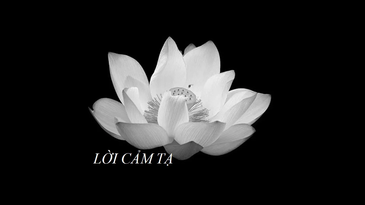 Lời cảm ơn