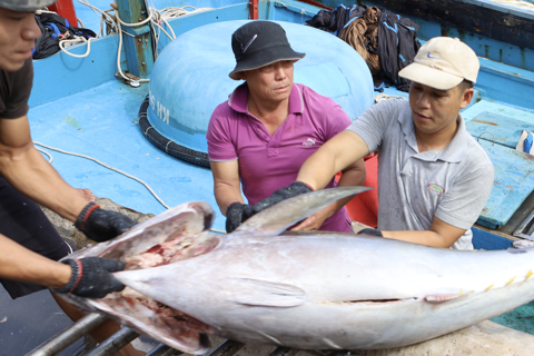 Từng bước tháo gỡ khi Mỹ cấm nhập 12 nhóm loài thủy sản Việt Nam