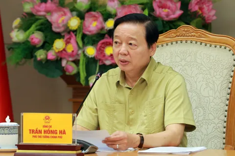 Chính sách đất đai, môi trường trong Trung tâm tài chính quốc tế: Bảo đảm cơ chế đặc thù, tránh thủ tục hành chính rườm rà