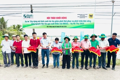Công ty CP Phân bón Bình Điền đẩy mạnh dự án canh tác lúa giảm phát thải vùng ĐBSCL