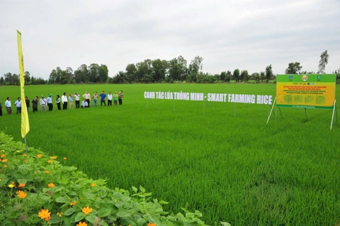 Ưu tiên ứng dụng Công nghệ sinh học trong đổi mới mô hình tăng trưởng
