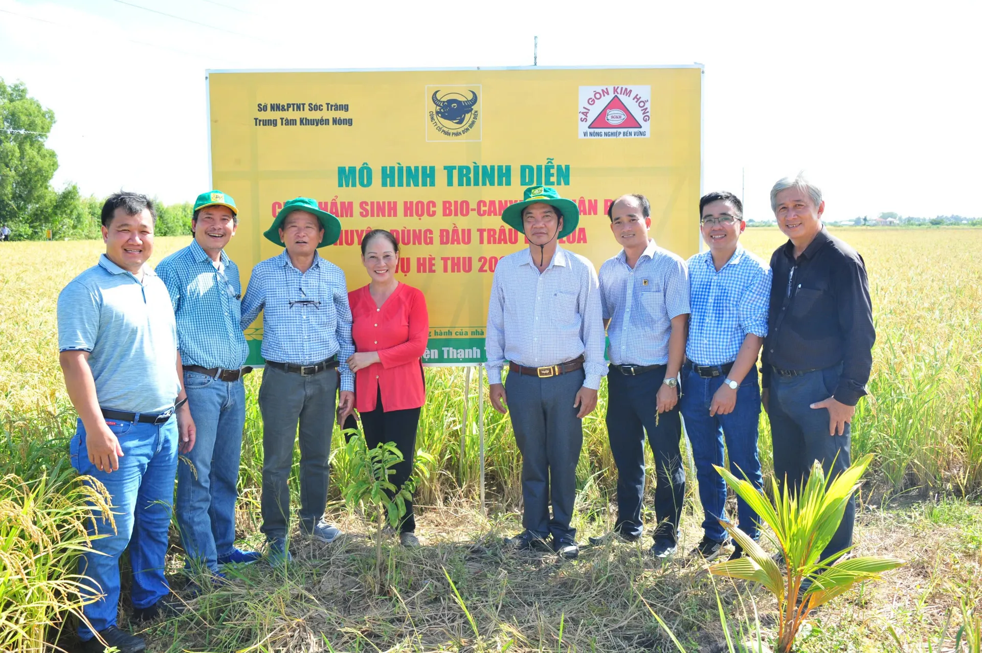 Hình ảnh 2