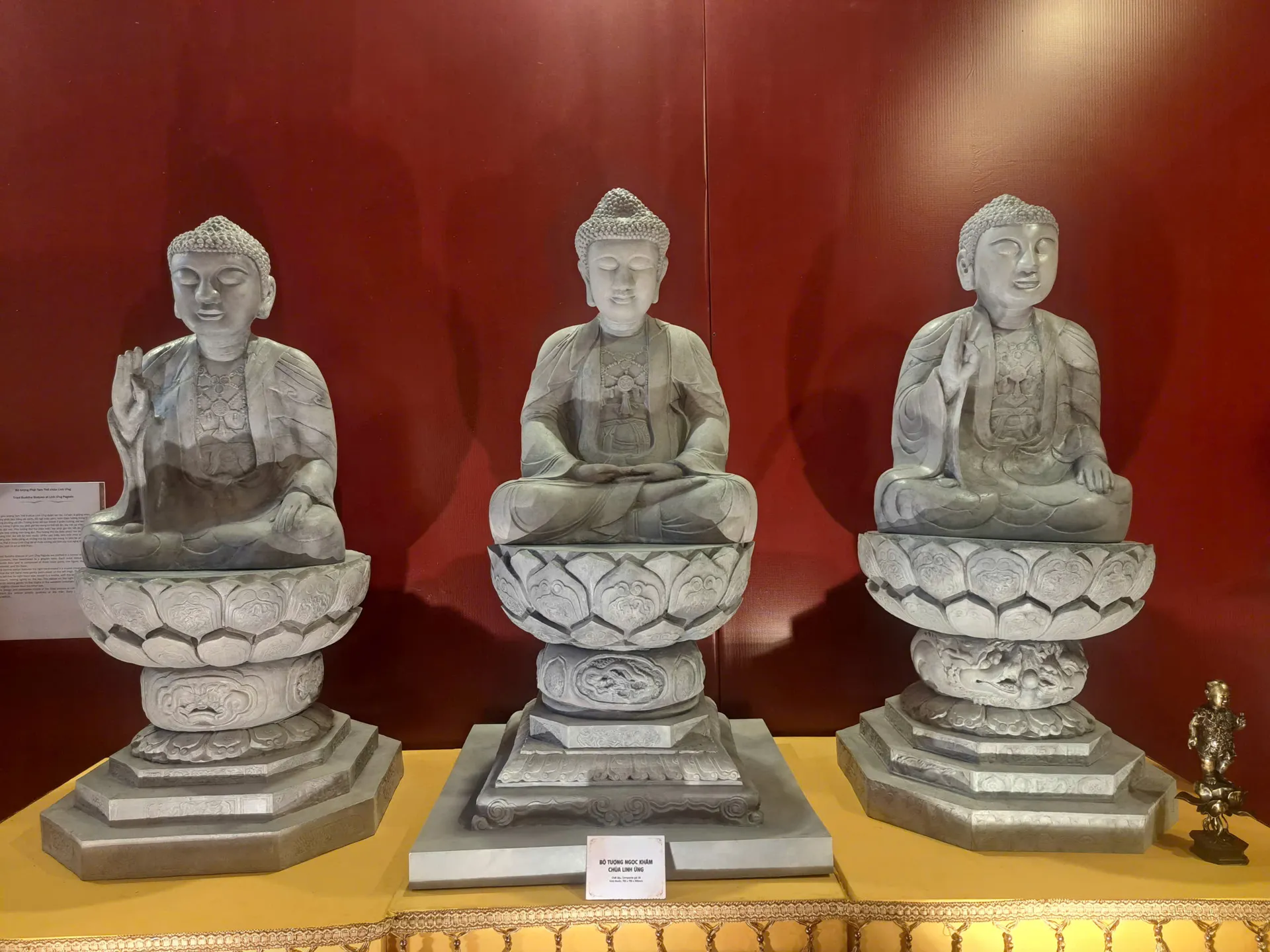 Hình ảnh 12