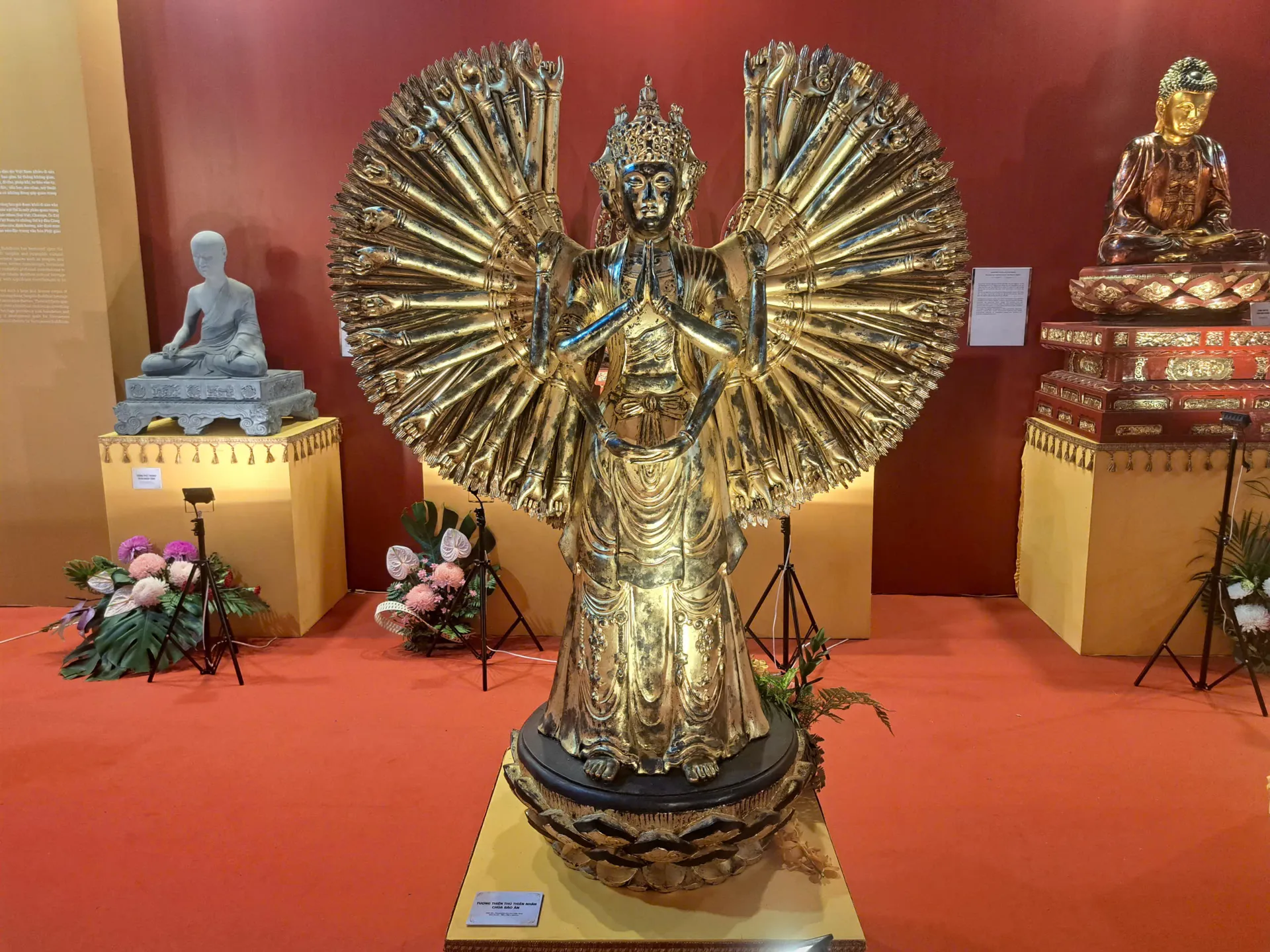 Hình ảnh 7