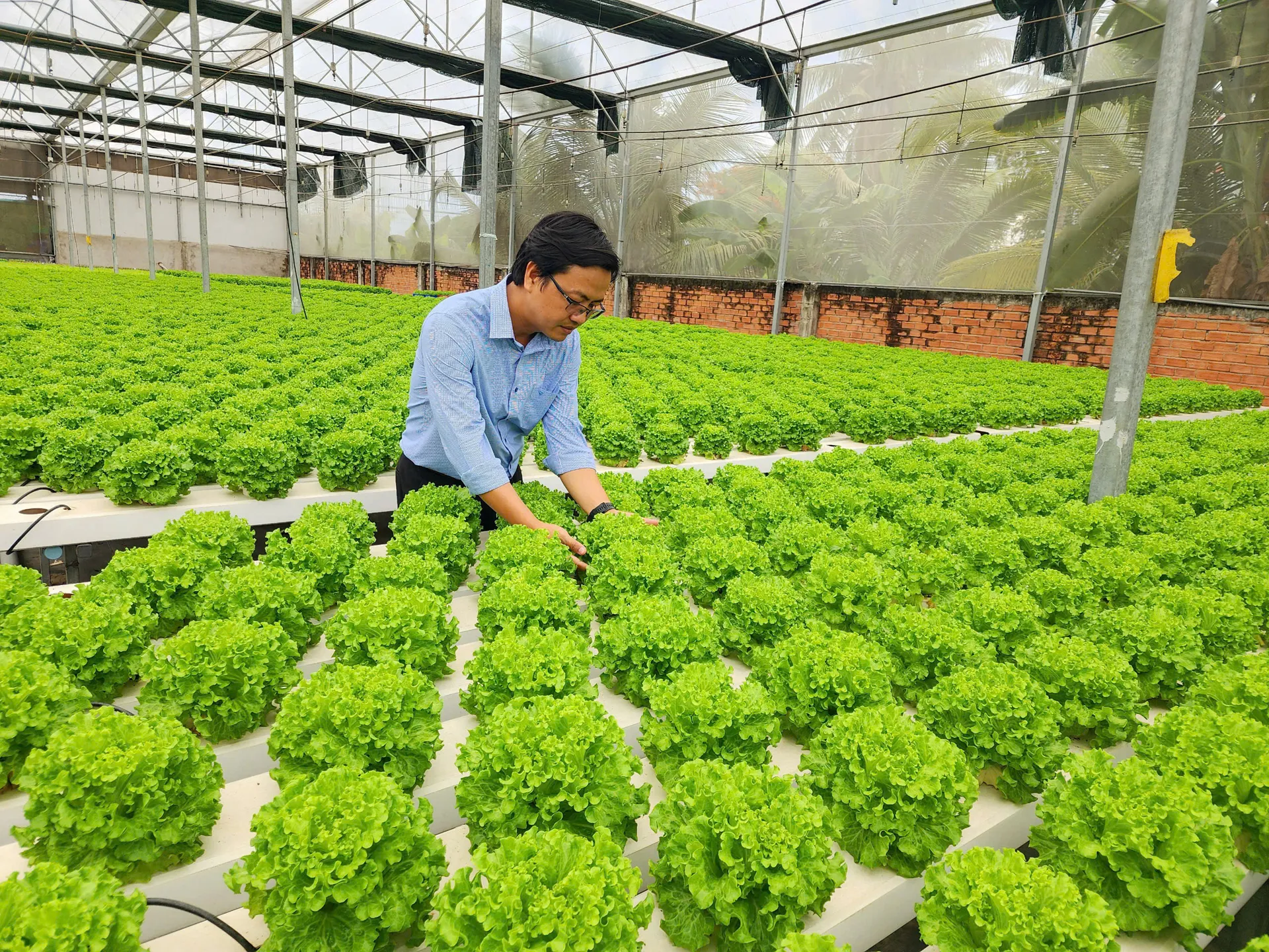 Triển khai chính sách hỗ trợ thanh niên khởi nghiệp trong lĩnh vực nông nghiệp