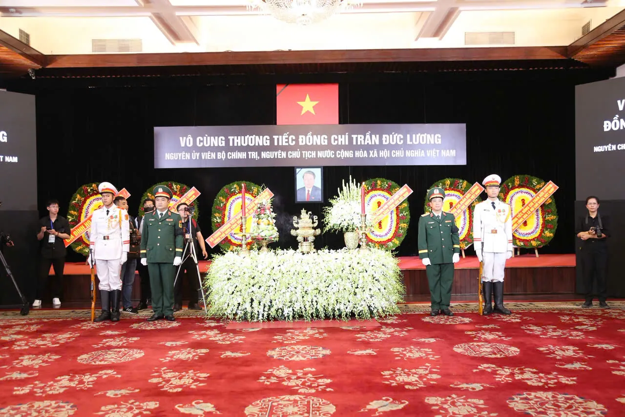 Hình ảnh 10