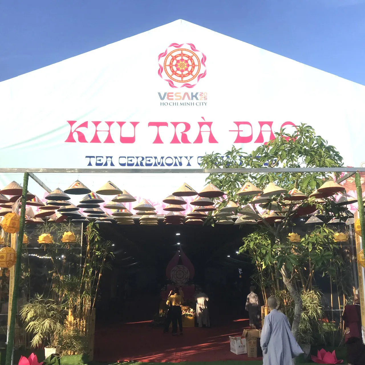 Hình ảnh 11
