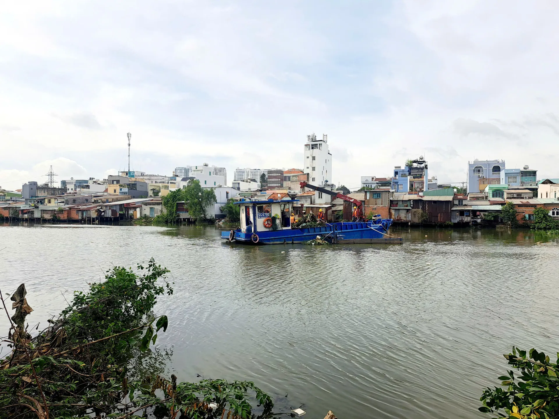 Hình ảnh 2