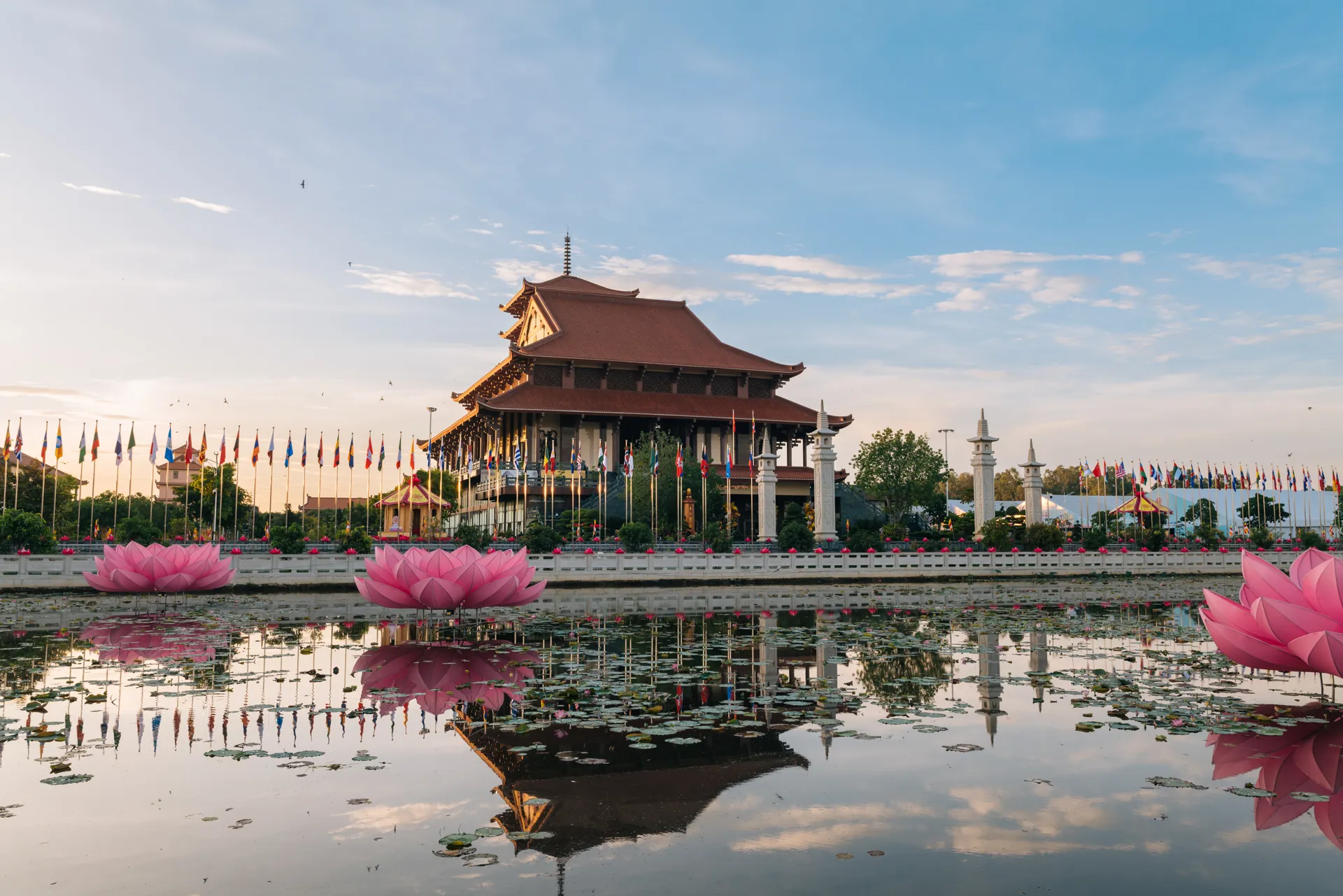 Hình ảnh 2