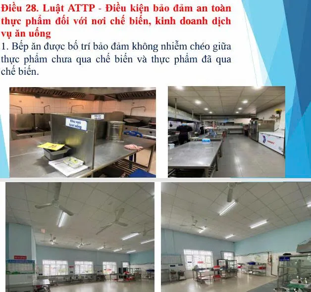 Hình ảnh 2