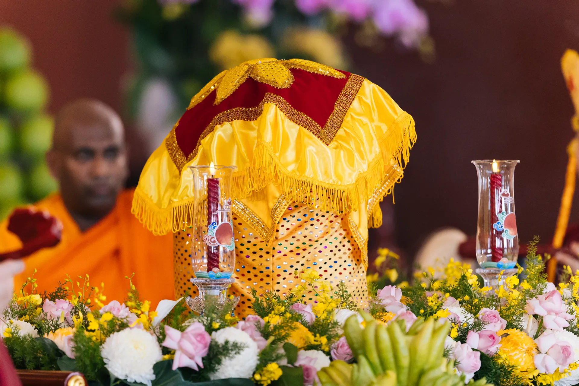 Hình ảnh 11