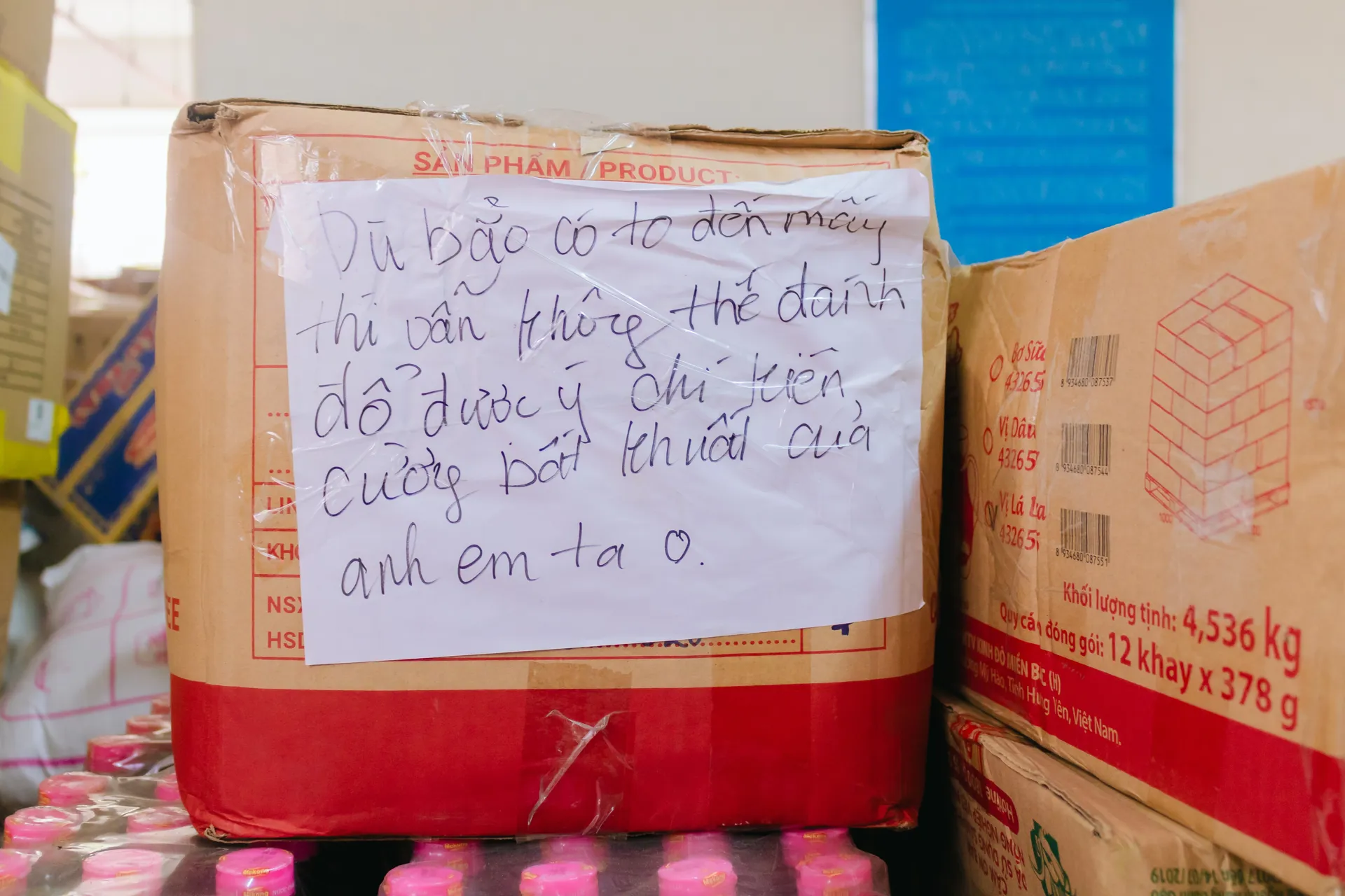 Hình ảnh 5