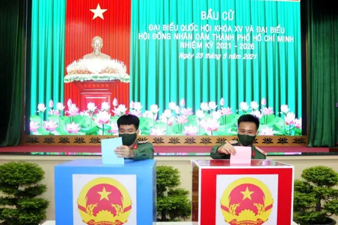 Thời gian, địa điểm nhận hồ sơ ứng cử đại biểu Quốc hội khóa XVI, đại biểu HĐND TP ra sao?