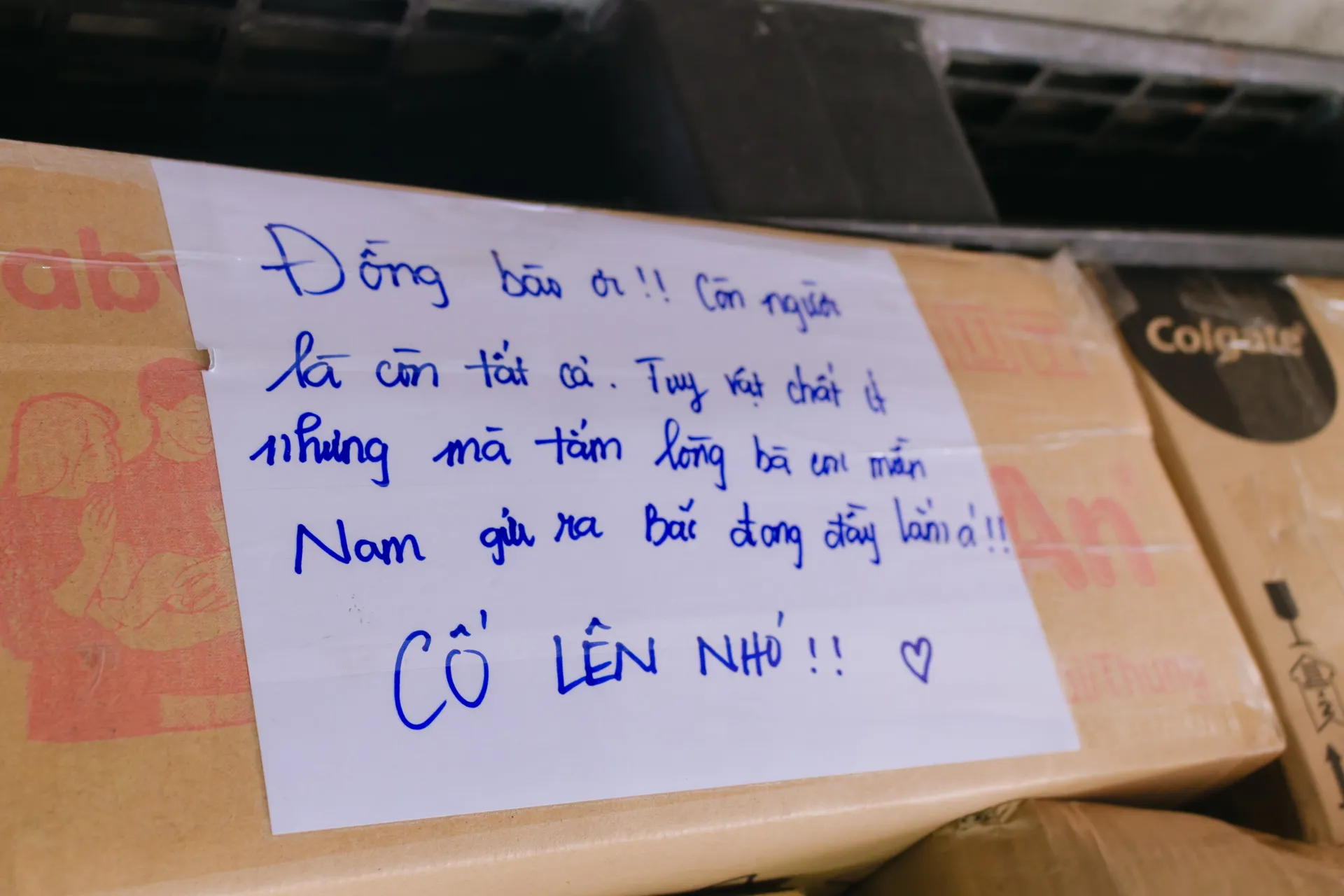 Hình ảnh 4