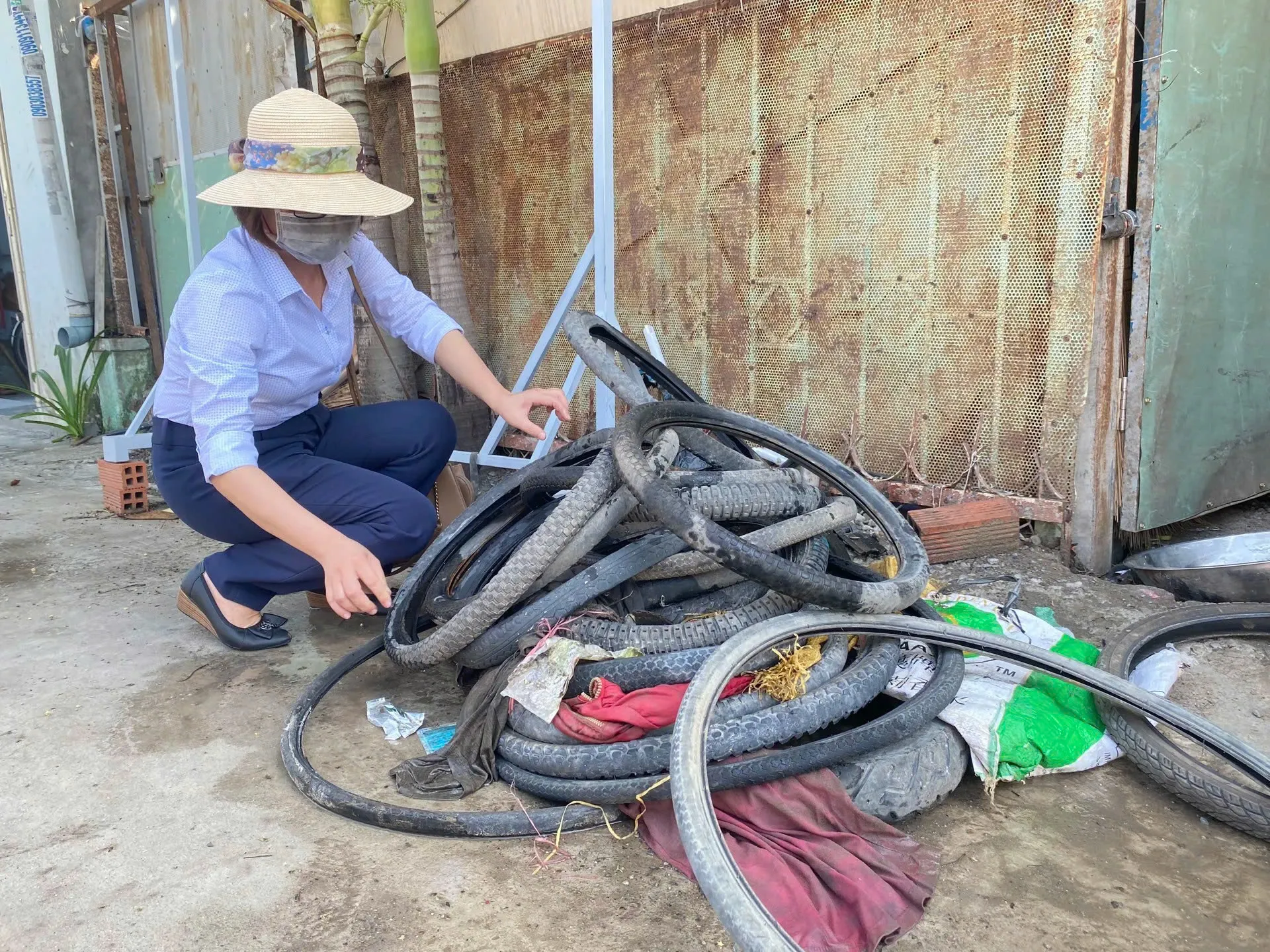 TP Hồ Chí Minh ghi nhận hơn 15.500 ca sốt xuất huyết, 9 ca tử vong