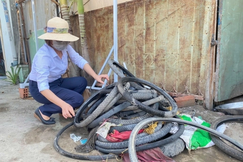 TP Hồ Chí Minh ghi nhận hơn 15.500 ca sốt xuất huyết, 9 ca tử vong