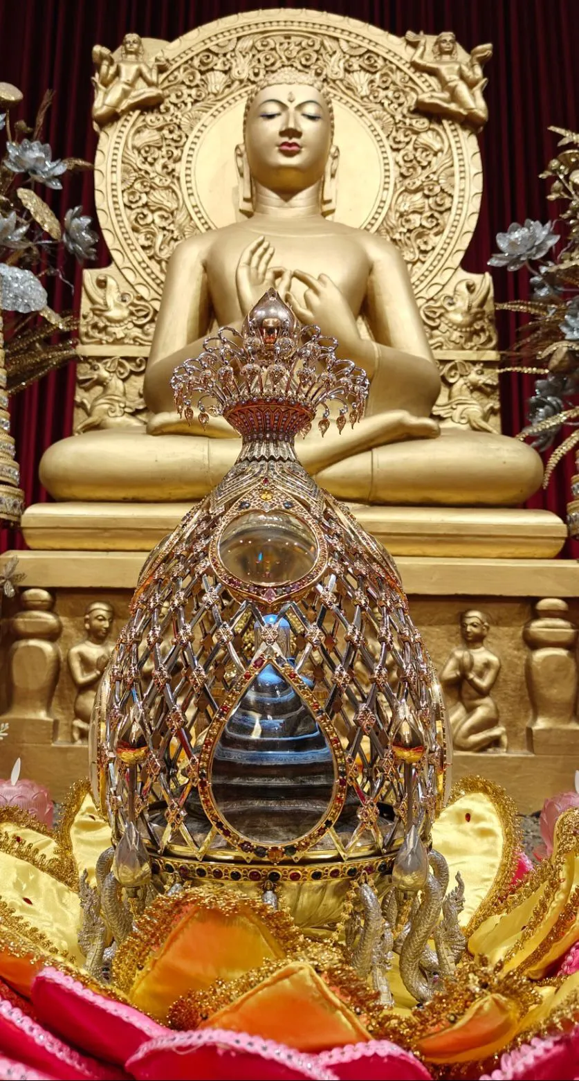 Hình ảnh 1