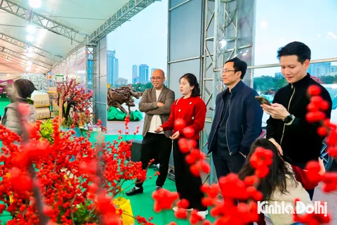 Đào đông đỏ giá hàng trăm triệu đồng “xuống phố” đón Tết Bính Ngọ 2026