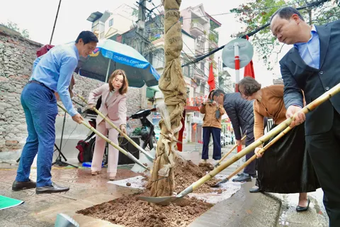 Phường Ngọc Hà phát động Tết trồng cây Xuân Bính Ngọ 2026
