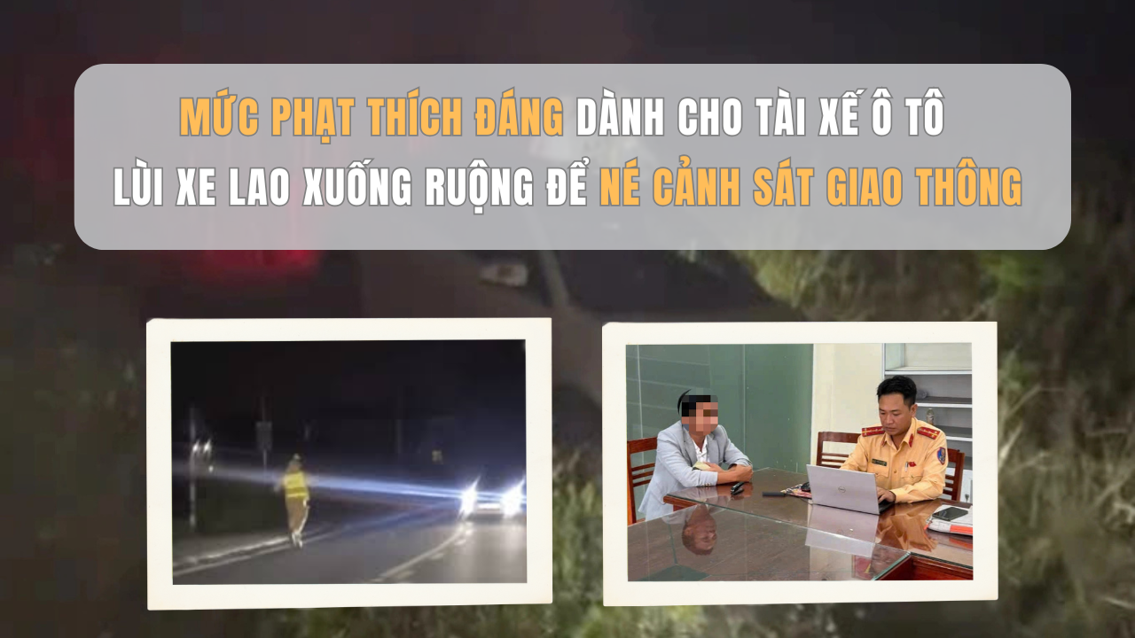 Mức phạt thích đáng dành cho tài xế ô tô lùi xe lao xuống ruộng để né cảnh sát giao thông