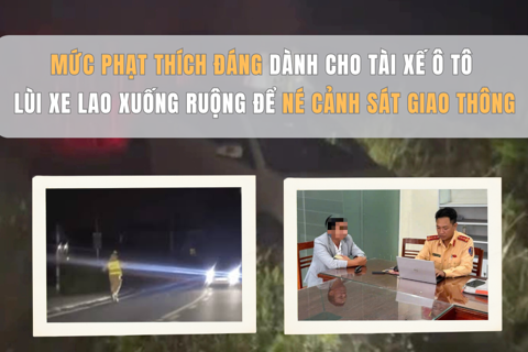 Mức phạt thích đáng dành cho tài xế ô tô lùi xe lao xuống ruộng để né cảnh sát giao thông