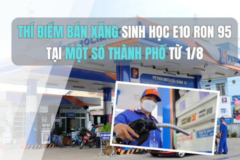 Thí điểm bán xăng sinh học E10 Ron 95 tại một số thành phố từ 1/8
