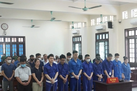Hải Phòng: xét xử nhiều cựu cán bộ hải quan tiếp tay cho vụ buôn lậu 1.800 tỷ đồng