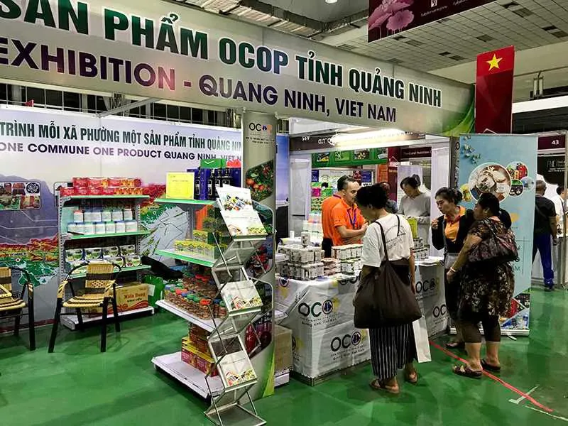 Hình ảnh 1