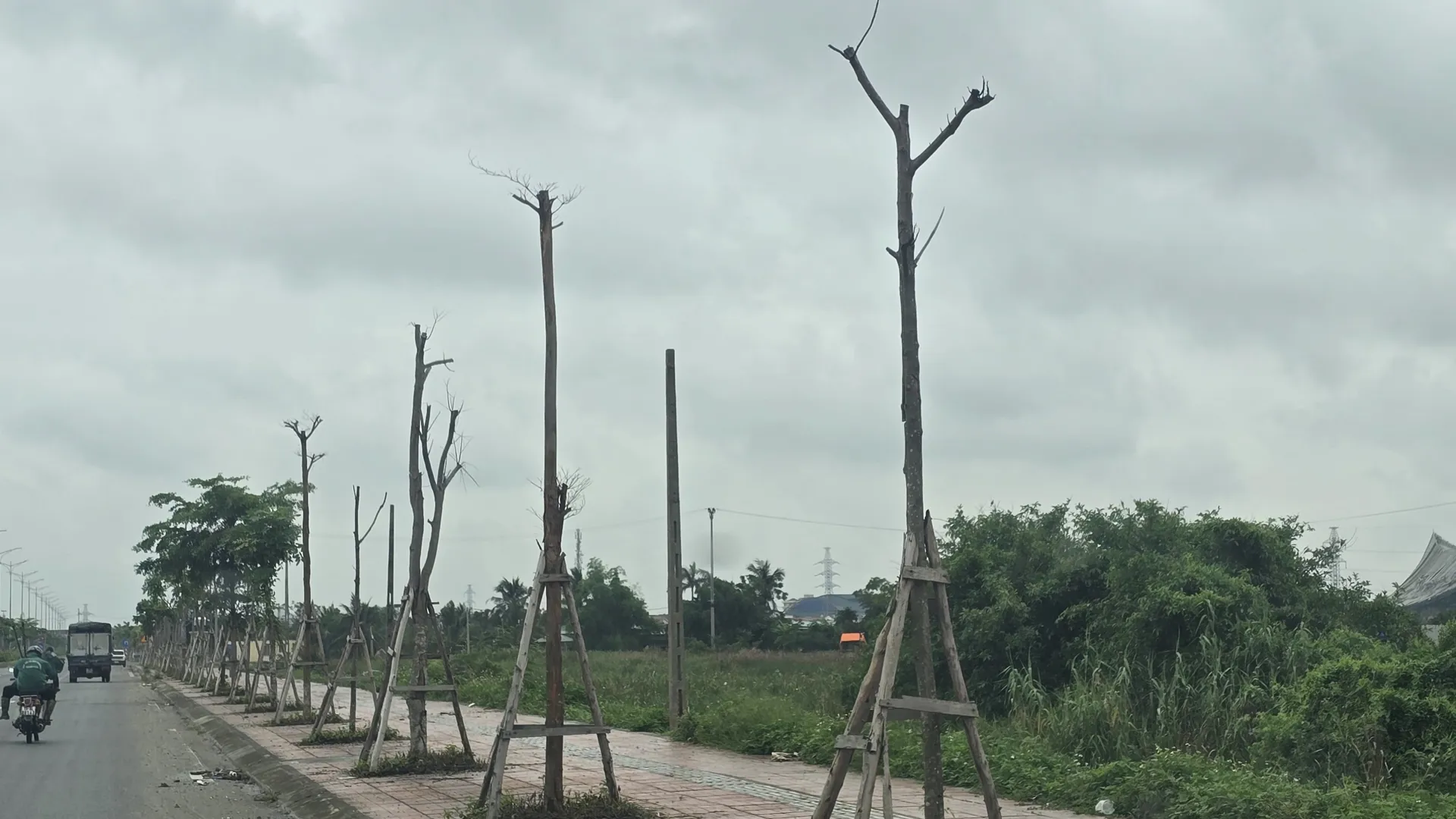 Hình ảnh 4