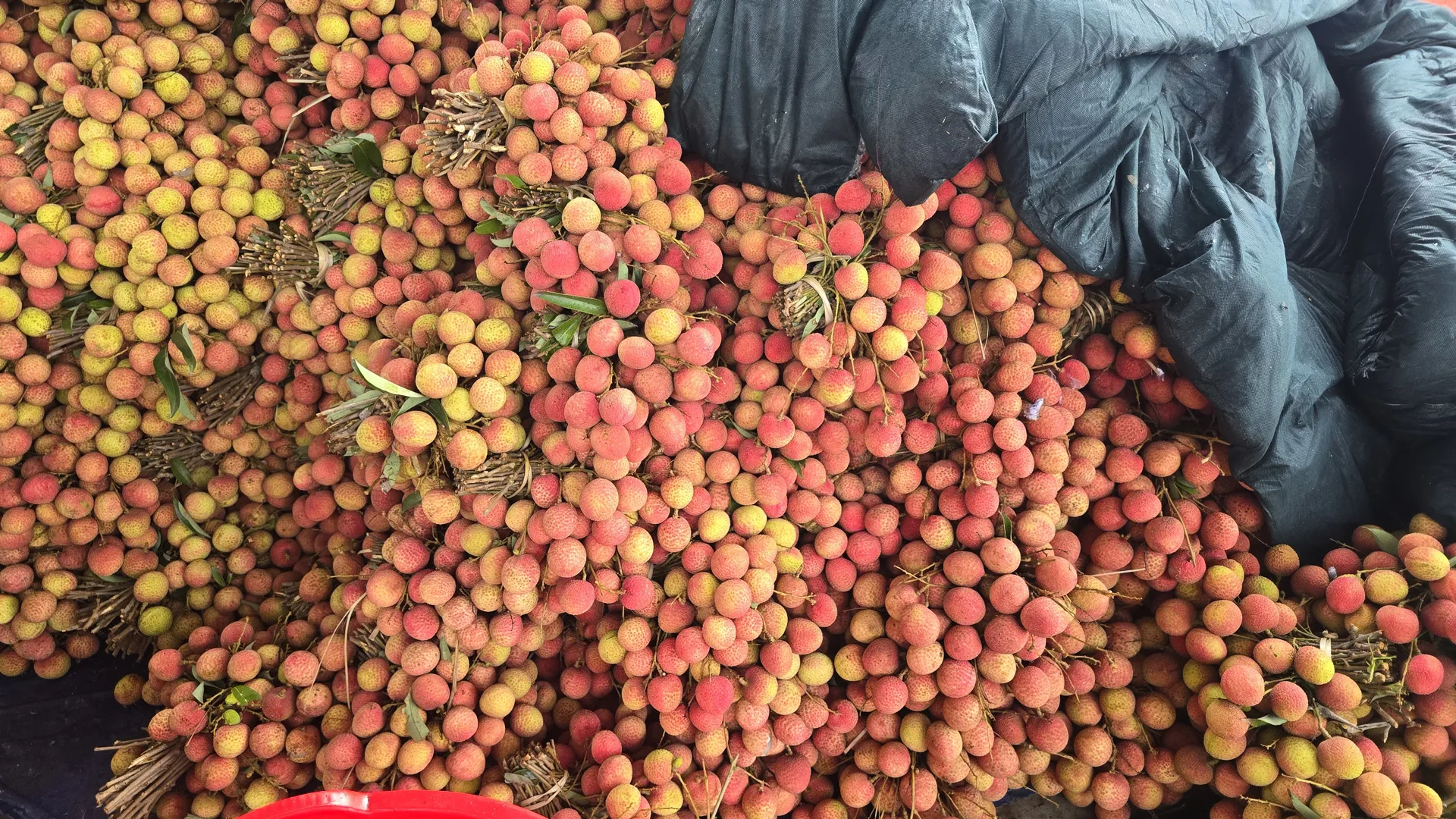 Hình ảnh 5