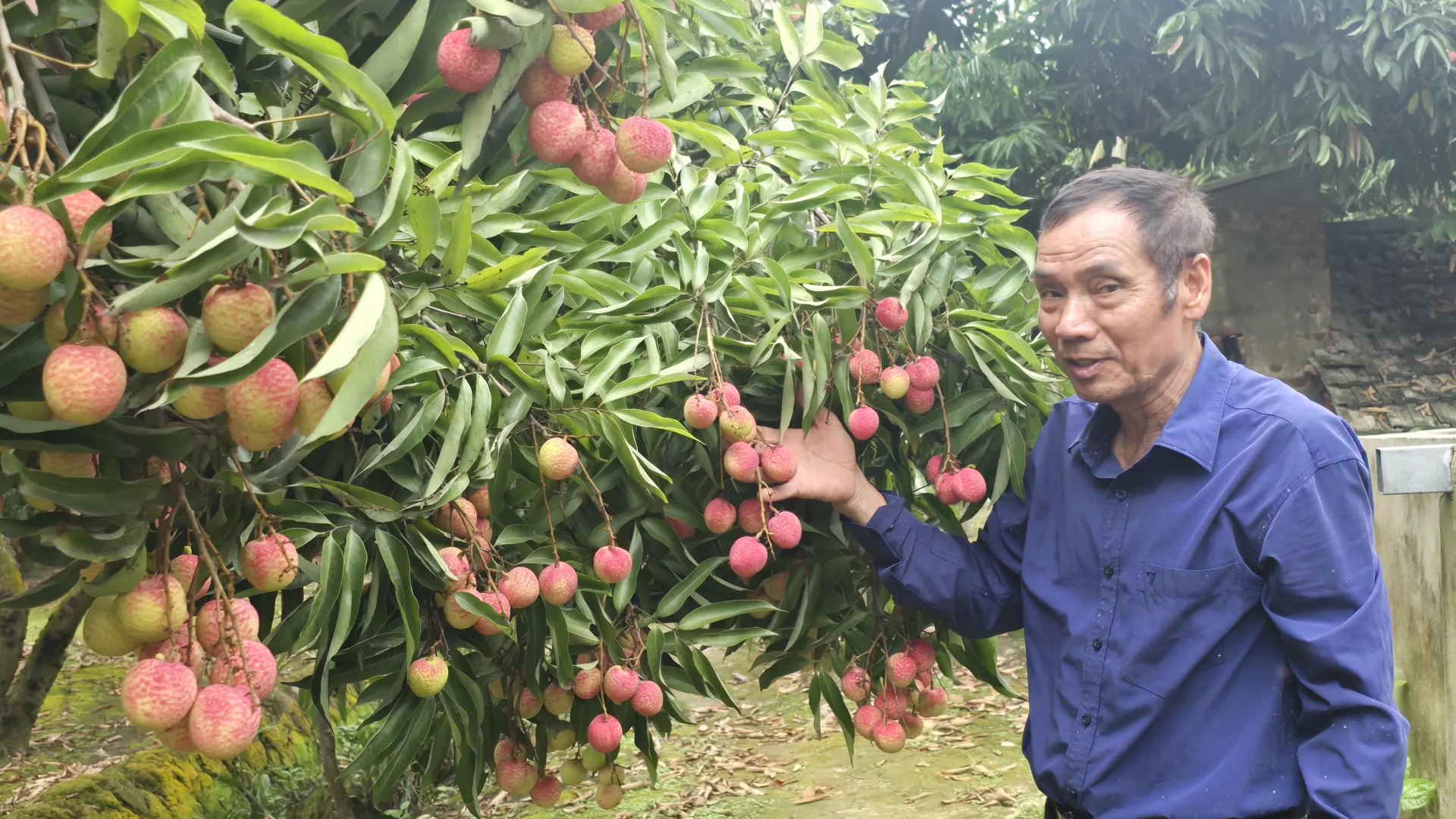 Hình ảnh 2