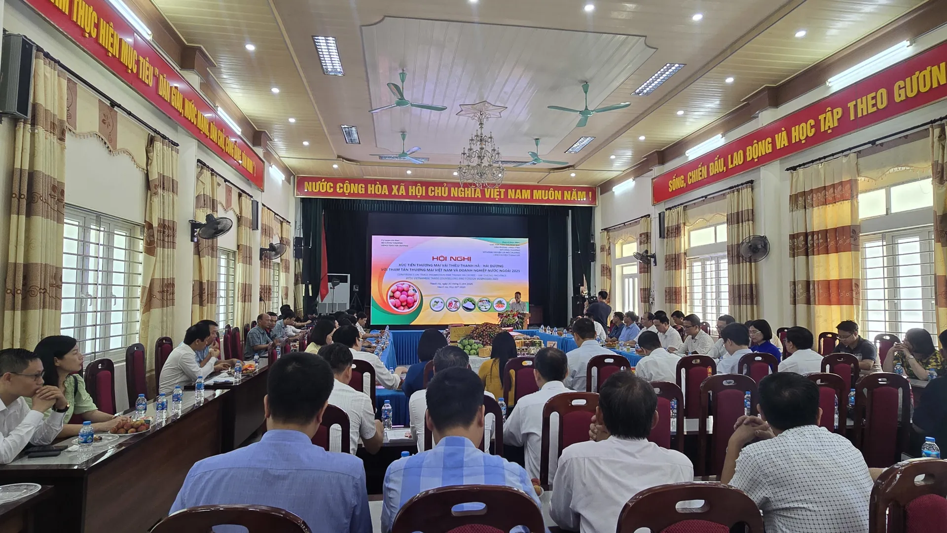 Hình ảnh 3