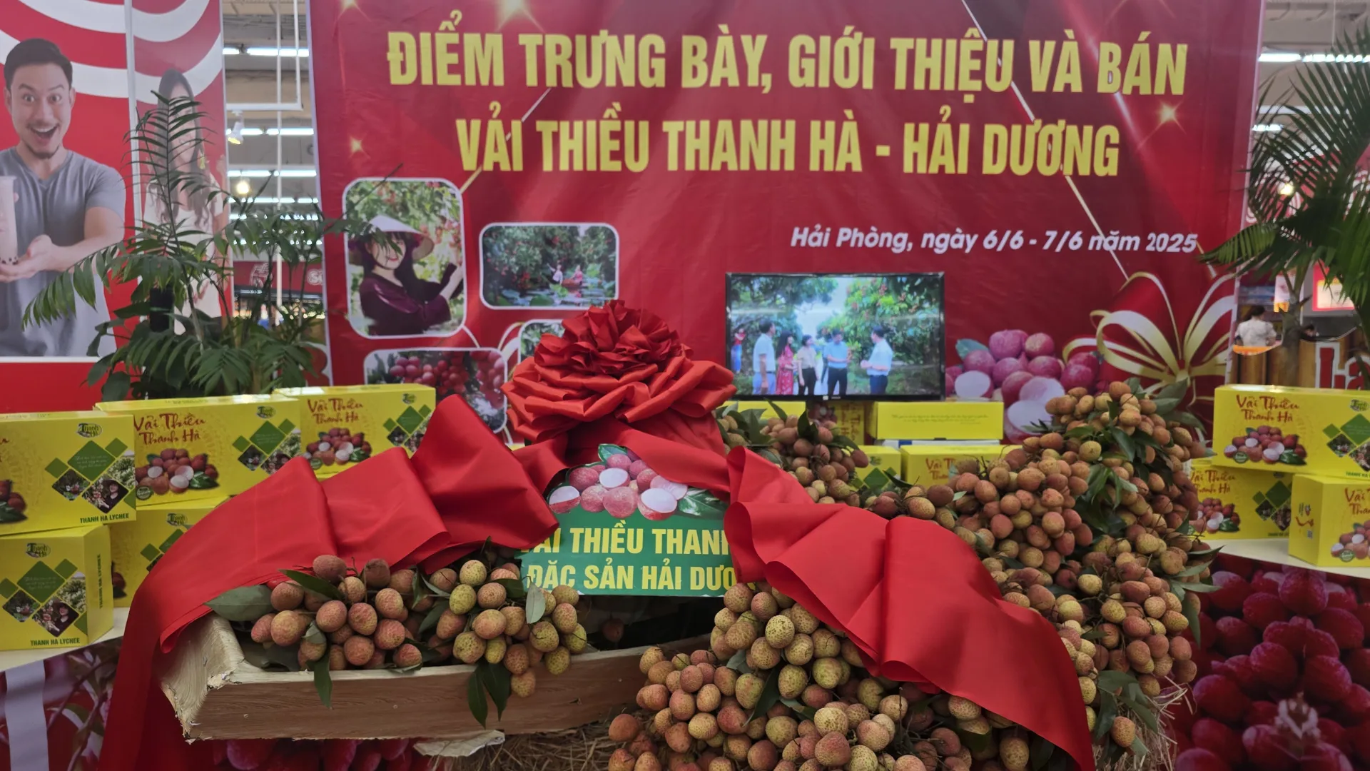 Vải thiều Hải Dương được bán tại các siêu thị, trung tâm thương mại ở Hải Phòng