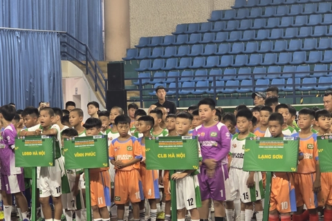 Hải Phòng: khai mạc vòng loại giải Bóng đá Thiếu niên (U13) và Nhi đồng (U11) toàn quốc năm 2025
