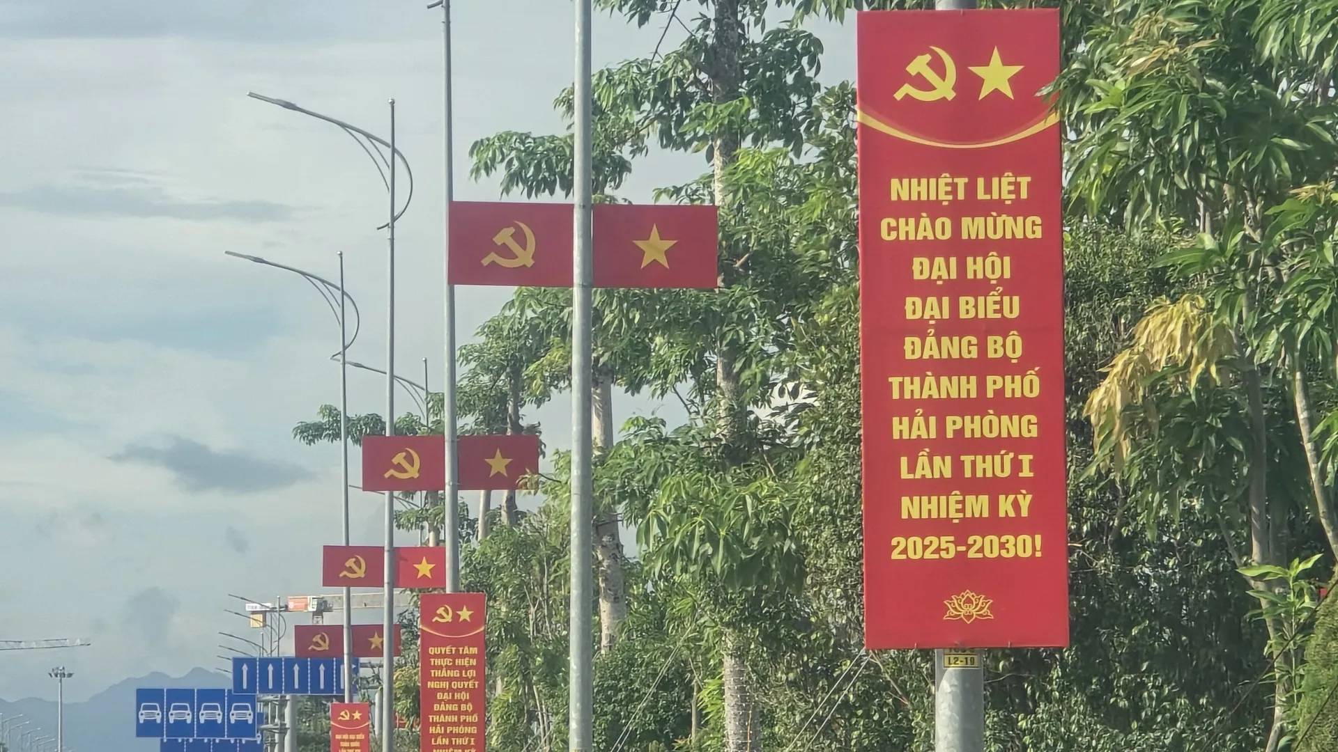 Hình ảnh 7