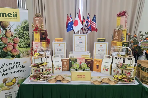 Hải Phòng: liên kết chuỗi giá trị gắn với thị trường chú trọng sản xuất cây vụ Đông