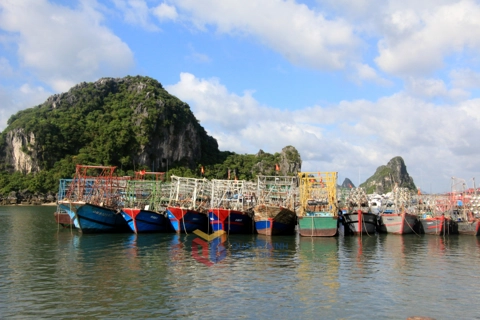 Quảng Ninh, Hải Phòng tạm dừng hoạt động phương tiện ngoài khơi để chủ động ứng phó bão số 1