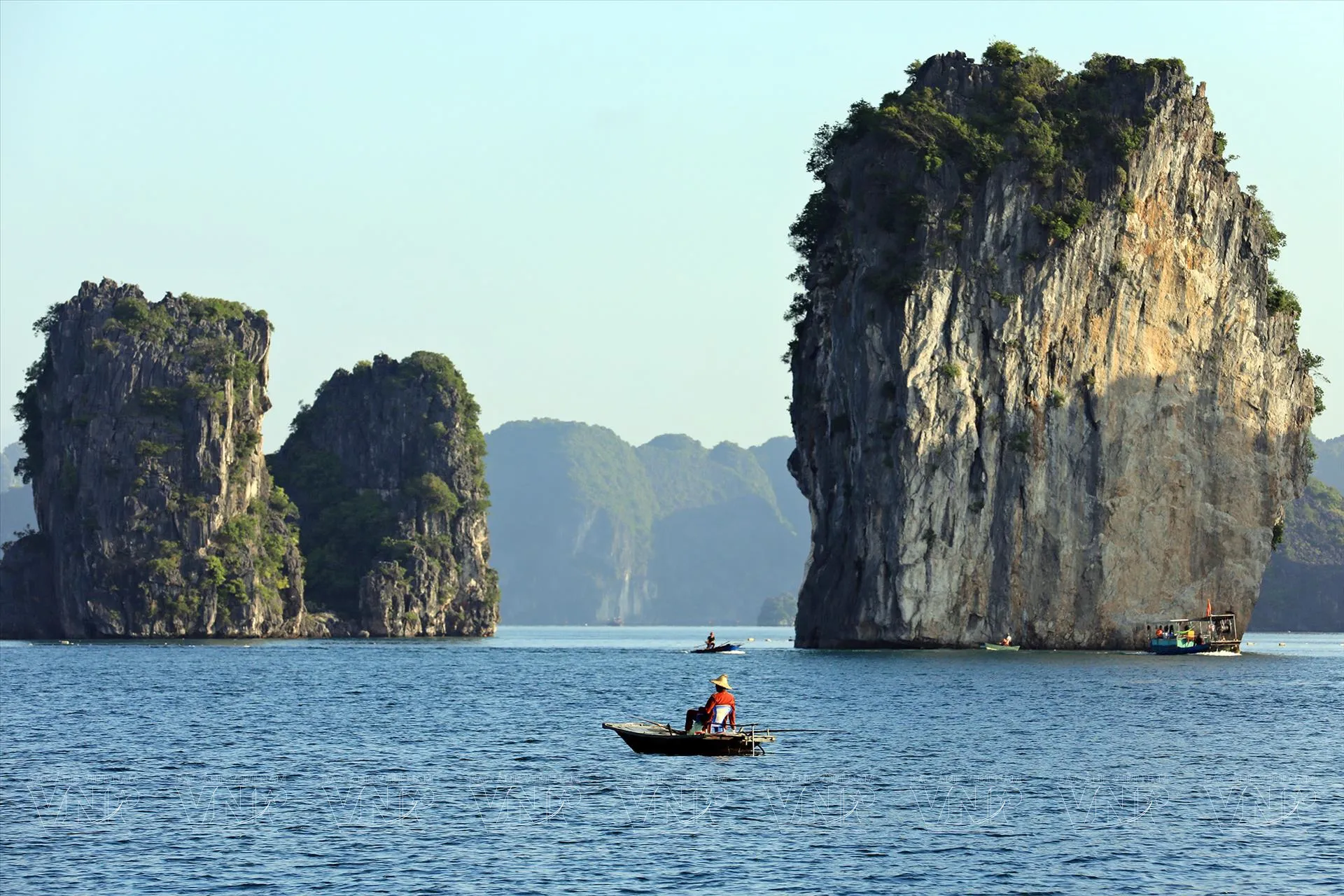 Hình ảnh 2