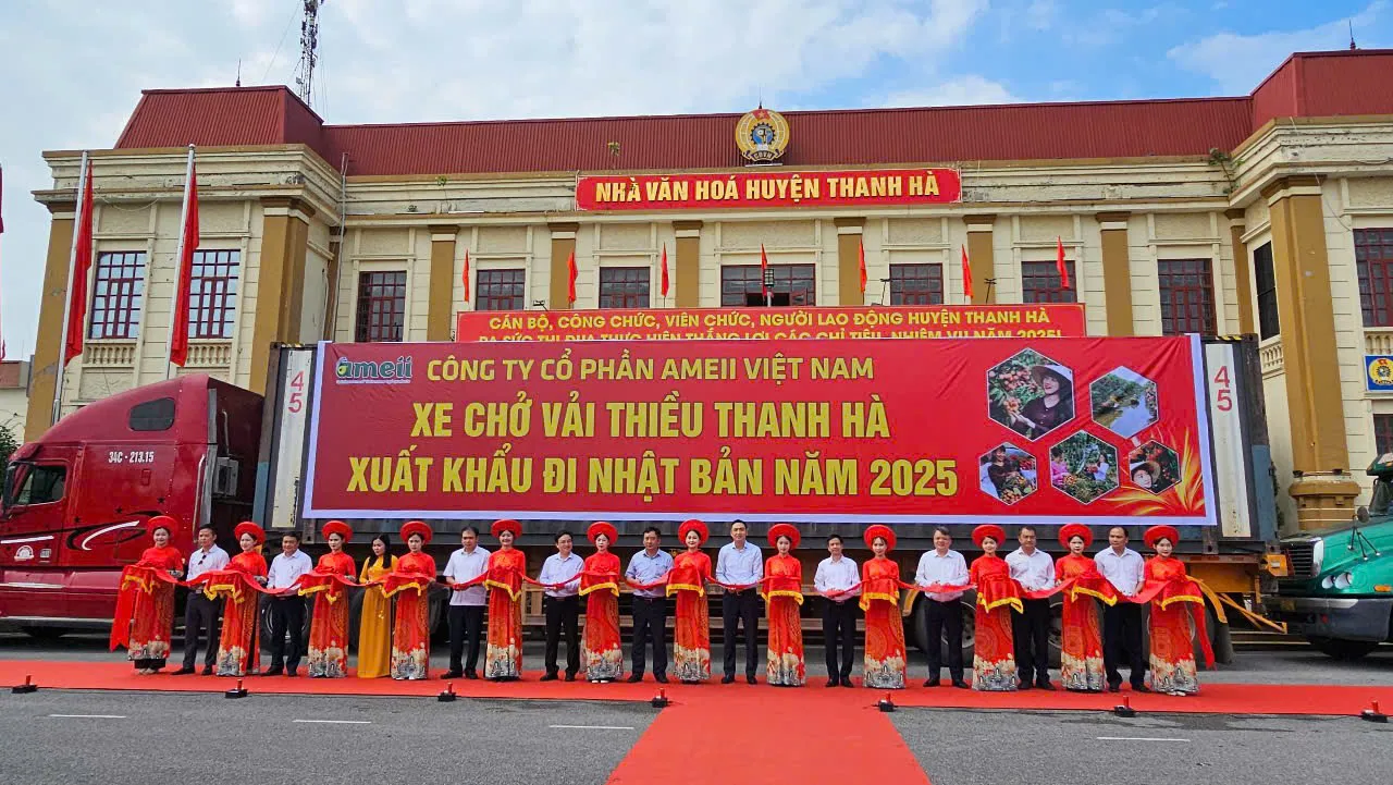Hình ảnh 4