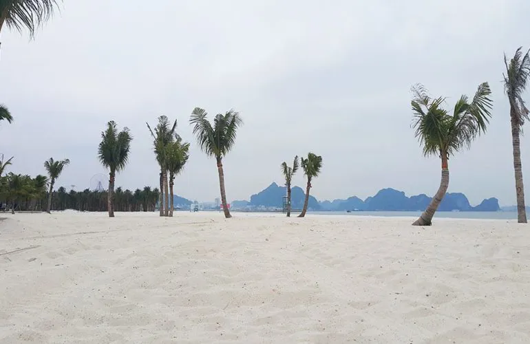 Hình ảnh 1