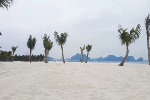 Quảng Ninh: một nam sinh bị mất tích khi tắm tại bãi biển 
