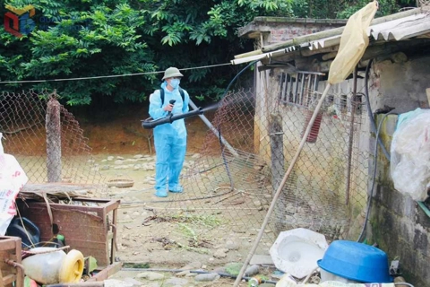 Quảng Ninh ghi nhận ca bệnh đầu tiên bị viêm não Nhật Bản B trong năm 2025
