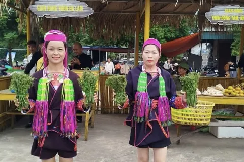 Nông sản OCOP: hướng đi mới cho người dân Quảng Ninh